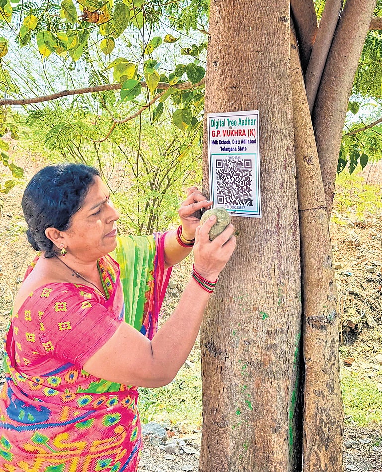 Telangana village 1st in country to pioneer digital tree ID