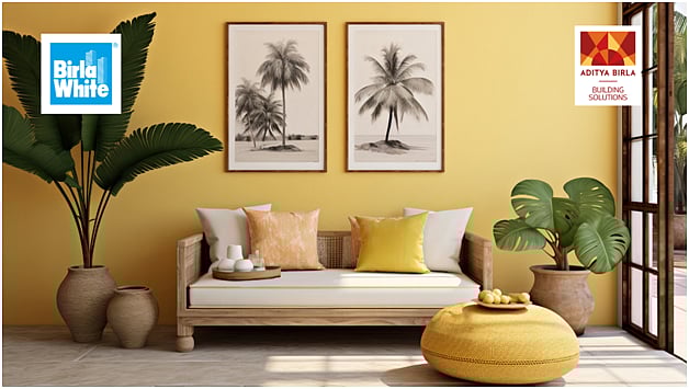 The Ultimate Guide to Distemper Paint Colors-Top Picks for 2025