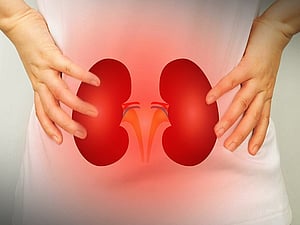 Venus' potential bloodstream infection drug gets QIDP status from US FDA