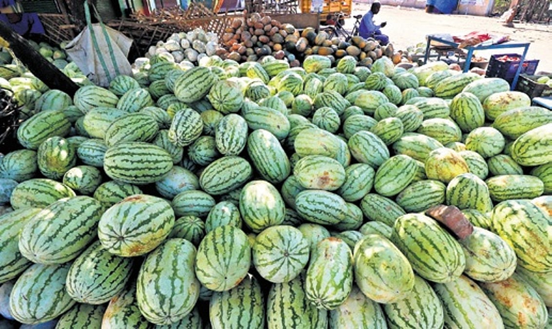 Farmers 'melon'cholic after adulteration row
