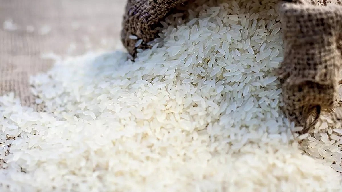 Updated Rice Made-in-Philippines new rice variety rolled out in east India to boost ...