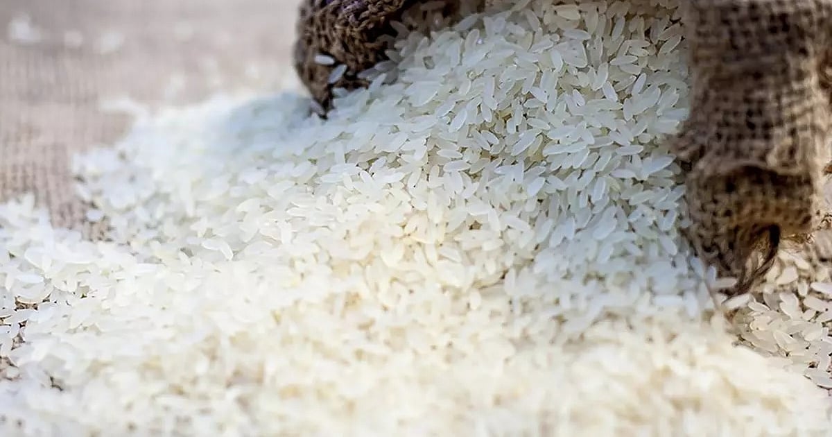 Ordinaryphilippines Rice Made-in-Philippines new rice variety rolled out in east India to boost ...