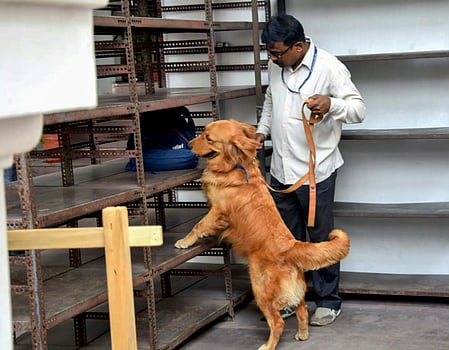 Multiple Schools In Amritsar Receive Bomb Threats Students Evacuated