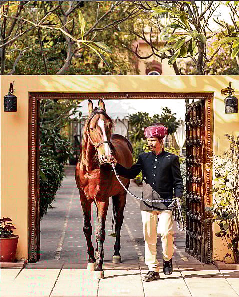 The stay is the trip