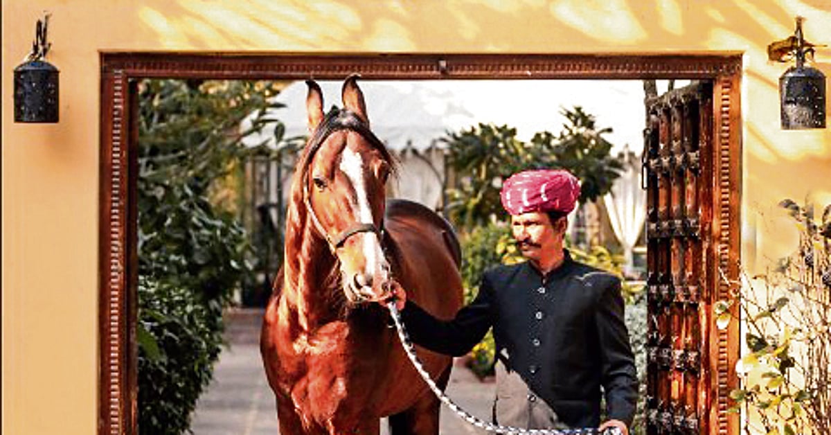 The stay is the trip The stay is the trip