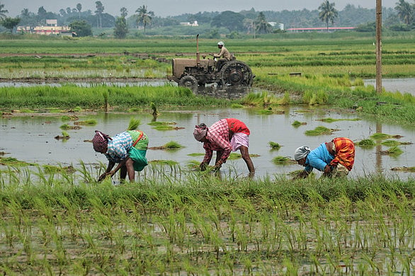 ‘Raitanna… For You’ to make agriculture lucrative in Andhra Pradesh