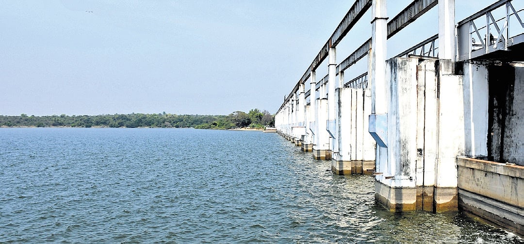 Tamil Nadu govt seeks CRZ clearance for new reservoir in Kovalam