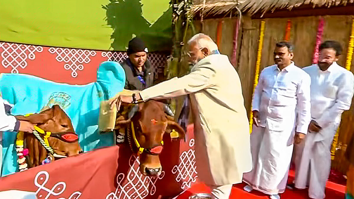 Pongal a global festival, cherished by Tamil community world over: PM Modi