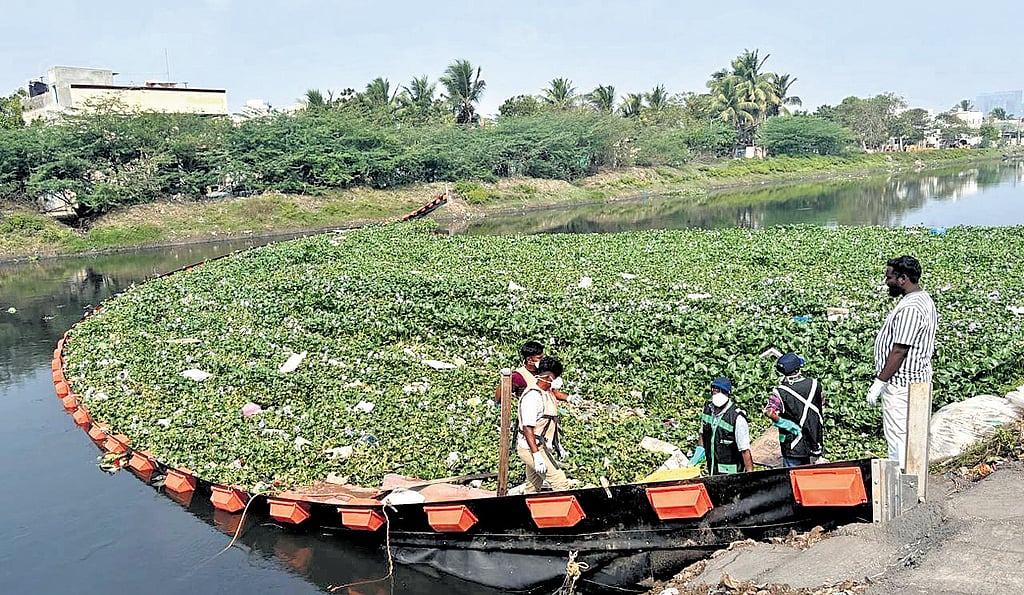 Trash barrier in Chennai's Buckingham Canal catches plastics reaching sea