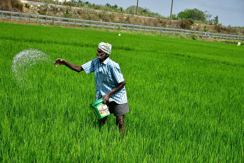 Longer war to crimp fertiliser production by 10-15%, raise subsidy bill by  Rs 25,000 crore: Crisil