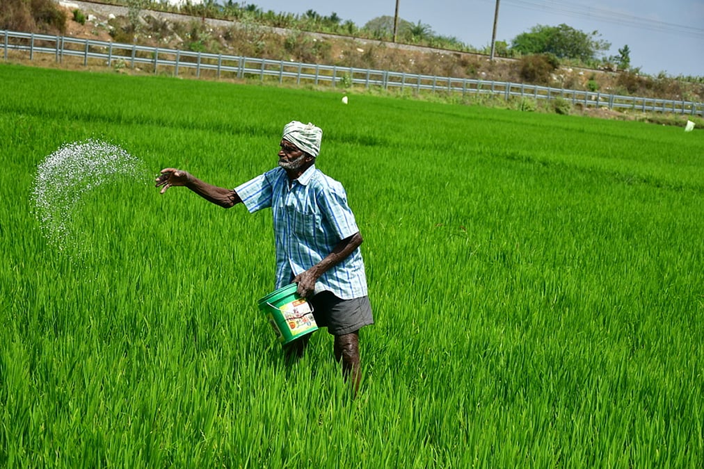 Longer war to crimp fertiliser production by 10-15%, raise subsidy bill by Rs 25,000 crore: Crisil