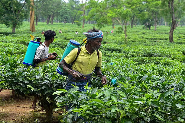 Science for a new trade era Science for a new trade era