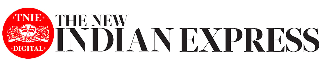 TNIE Logo Light